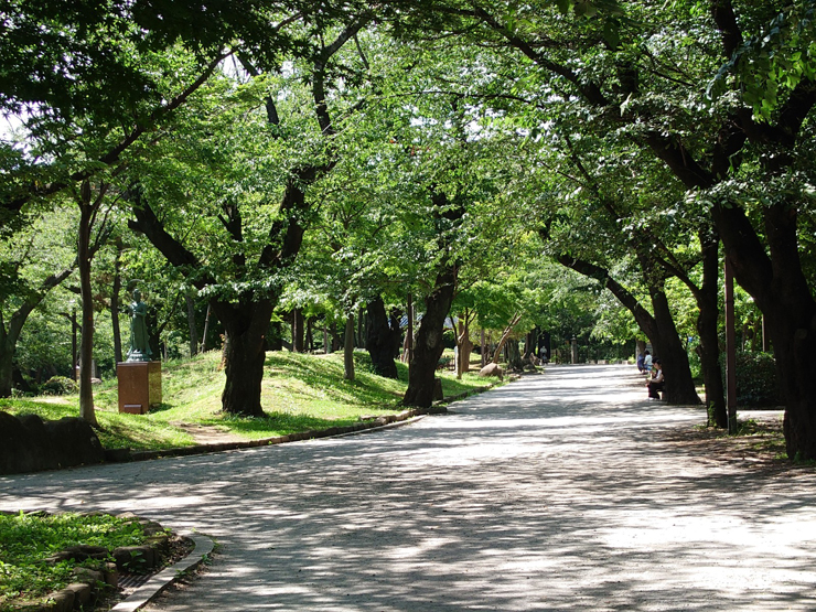 飛鳥山公園画像