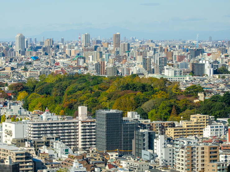 小石川植物園周辺画像