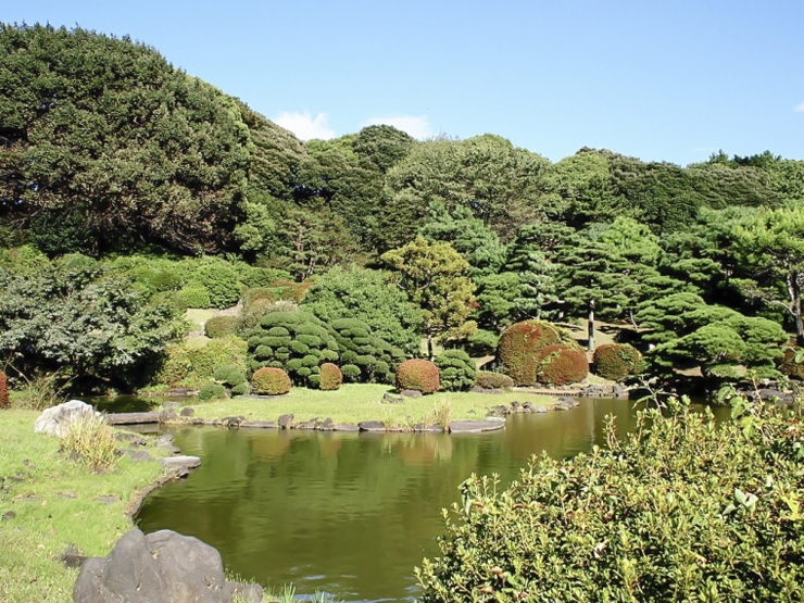 小石川植物園画像