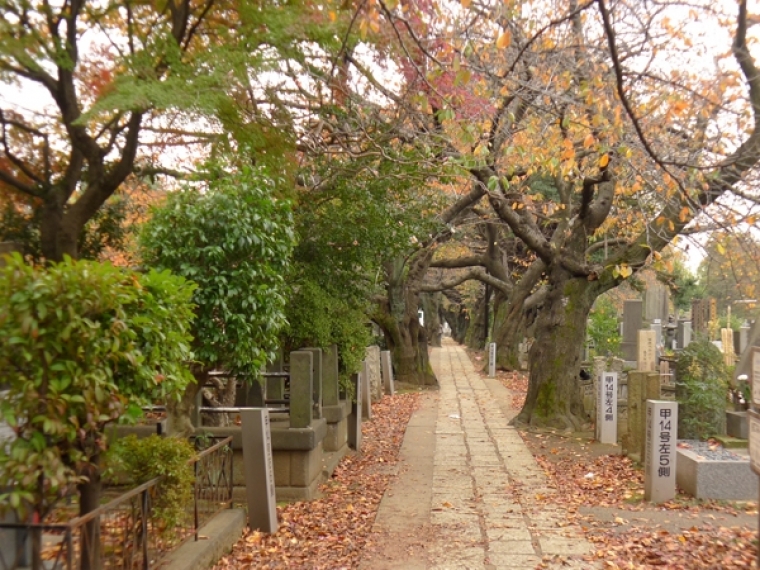 谷中霊園