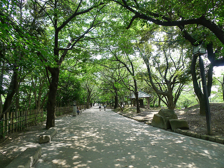 飛鳥山公園画像