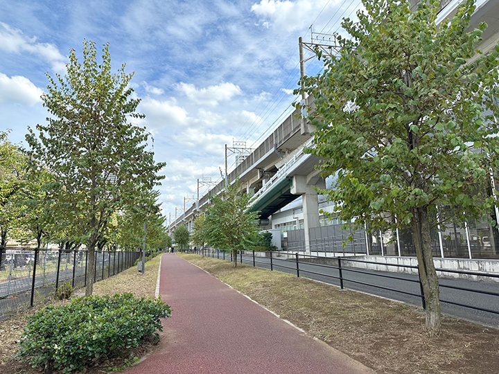 花と緑の散歩道