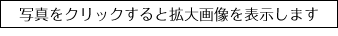 写真をクリックすると拡大画像を表示します