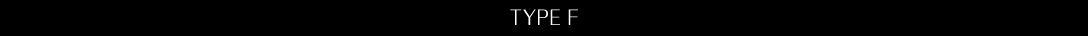 TYPE F