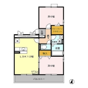 ジャーマンアイリスⅡ