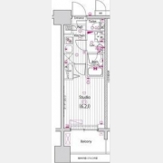 ガーラ・プレシャス川口並木