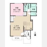 ＧＲＡＣＥ　ＳＫ