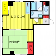 ハイネスイイダ