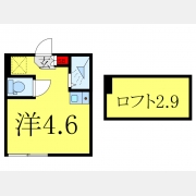 Fine　Residence　N17