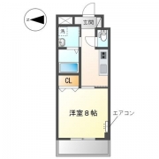 エヴァーグリーン常盤