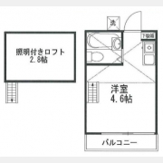 アレックス聖