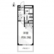 アンプルールフェール Gris