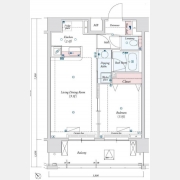ウィスティリアときわ台