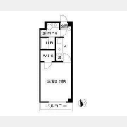 リュミエール並木