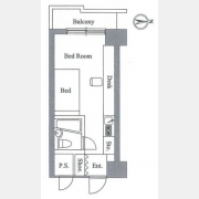 アレックス日乃本
