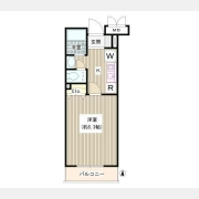 Ａｋｉｓ　Ｃｏｕｒｔ