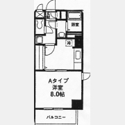 ラディアントコート