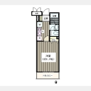 Ａｋｉｓ　Ｃｏｕｒｔ