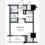 ＥＸＩＭ　ＮＩＳＨＩＳＵＧＡＭＯ