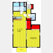 フェリセス・コヒナタ