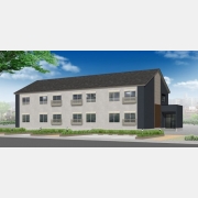 ティーリミテッド