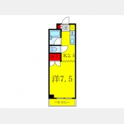 ザ・ゴールデンラビット