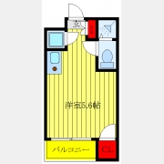 ジプソフィラ板橋本町