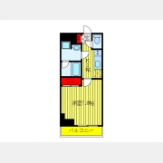 ＭＡＸＩＶ王子ＲＩＣＯＴＴ