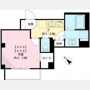 ワイズフォレスト