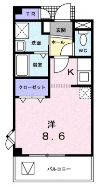 アムール青木の間取り図