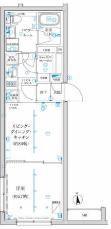 ＴＲＡＤＩＳ西池袋の間取り図
