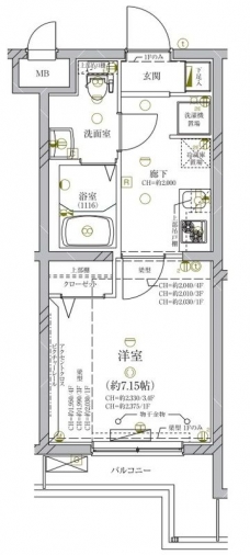 ディアレイシャス成増の間取り図
