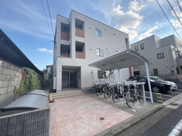 エヴァーグリーン常盤