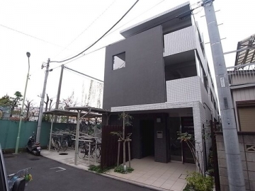 Root White Ⅲ