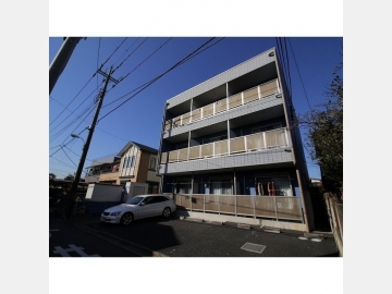 アンプルールフェール Gris 