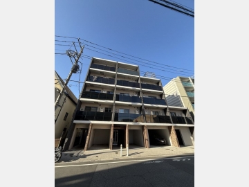 ＡＲＣＯＢＡＬＥＮＯ ＳＨＩＭＵＲＡＳＡＫＡＵＥ