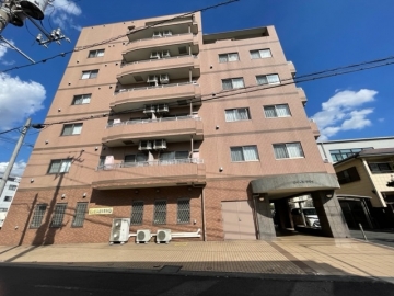 ロイヤルクマイ