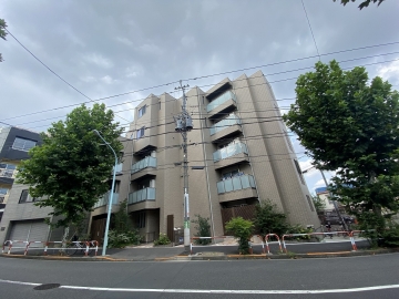 ワイズフォレスト