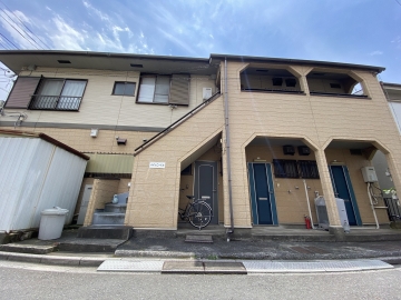 パインニードル