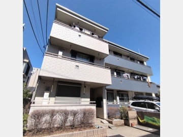 エバーグリーン