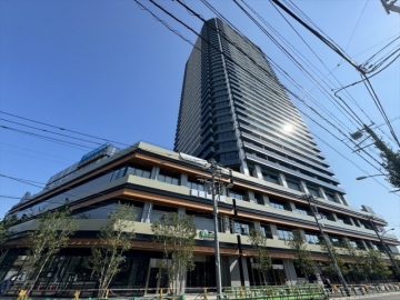 THE TOWER JUJO