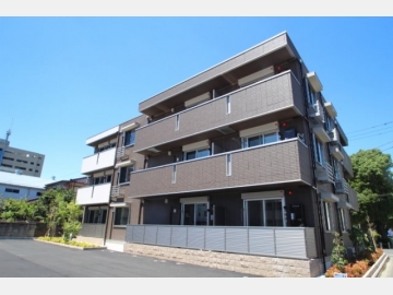 グレイスコート