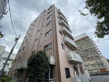 ハイグレード椿