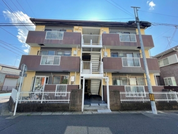 ピュアインハビット