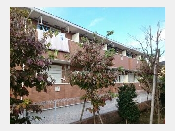 カサブランカ・ファイブ