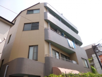 ステラ星野