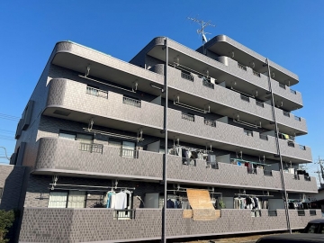 エンリッチＦⅢ