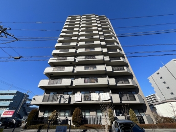 パウロニアビューコート