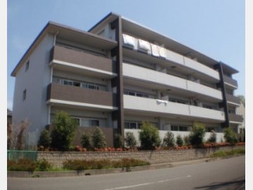 ドムス・ウィリデ