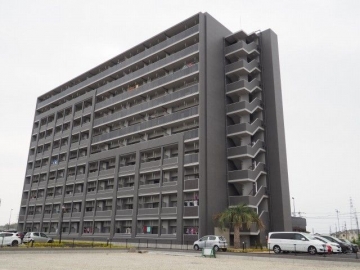 ティエラ　フェリス